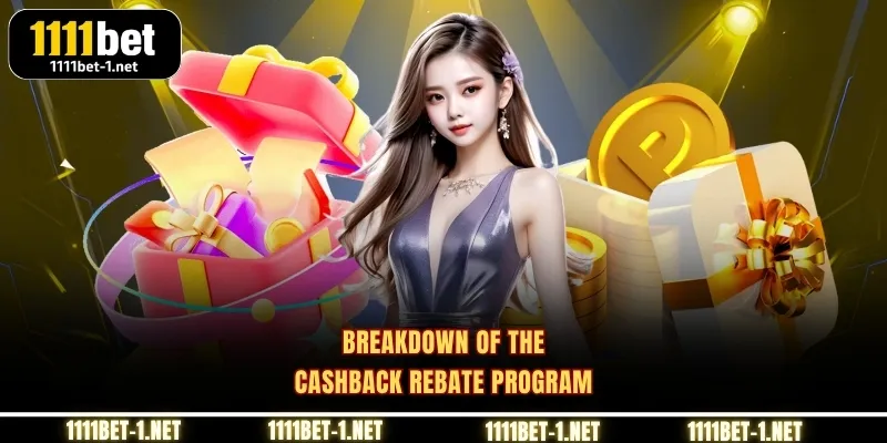 Breakdown of the Cashback Rebate Program